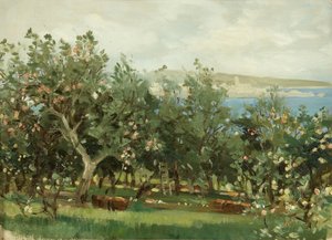 Ein Apfelgarten