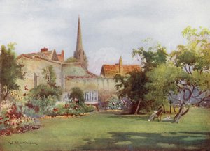 Miltons Maulbeerbaum im Fellows Garten, Christs College