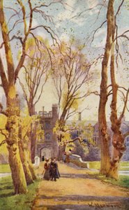 Trinity College Brücke und Allee, mit Tor zum Neuen Hof
