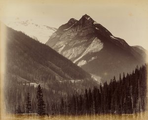 Ross Peak und die Schleife von Nr. 19 Schneeschuppen von William McFarlane Notman