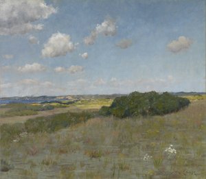 Sonnenlicht und Schatten, Shinnecock Hills