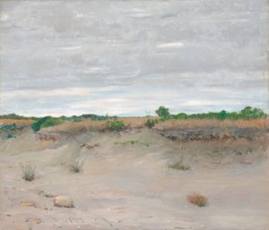 Windverwehter Sandstrand