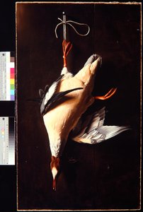 Gänsesäger