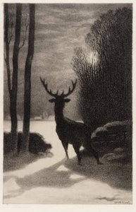 Hirsch im Mondlicht