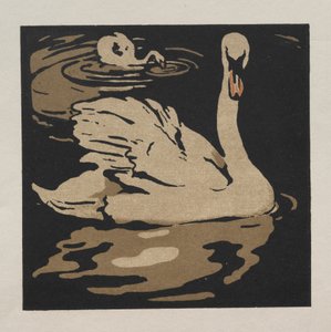 Das quadratische Buch der Tiere: Der schöne Schwan