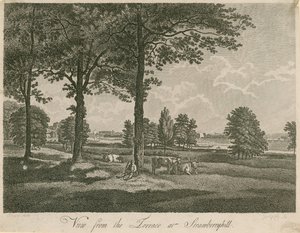 Blick von der Terrasse von Strawberry Hill, London