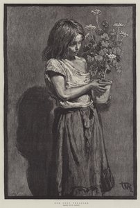 Ihr einziger Schatz von William Rainey
