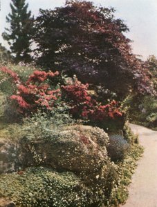 Teil des Steingartens in Brockhurst, East Grinstead