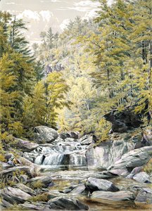 Catskill Clove, 1856