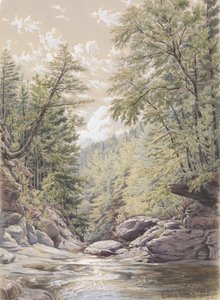 Catskill Clove in Palingsville, 1856