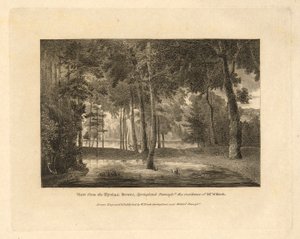 Die Landkreise der Vereinigten Staaten von Nordamerika, Satz von 20 Platten, Einführungstext und 2 Deckblätter