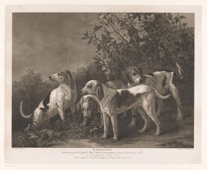Vier Jagdhunde von William Satchwell Leney