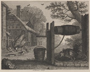 Die alte Henne und der Hahn
