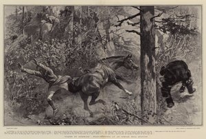 Überrascht, Bärenjagd an einer indischen Bergstation