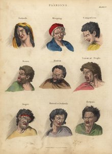 Leidenschaften aus der Physiognomie von William Smellie