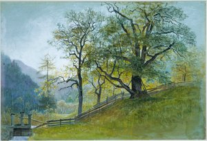  von William Stanley Haseltine