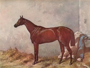 Hermit: Gewinner der Derby Stakes in Epsom, 1867, 1903