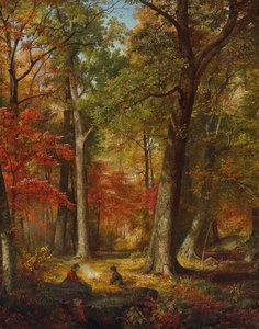 Herbstwald