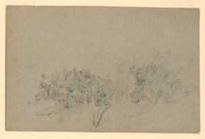 Studie von Laub von William Trost Richards