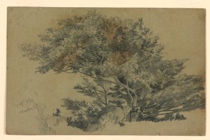 Studie von Laub von William Trost Richards