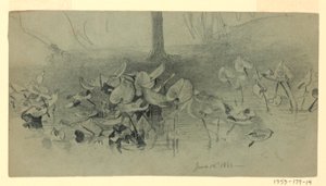 Studie des Laubs