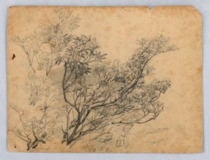 Studie von Laub