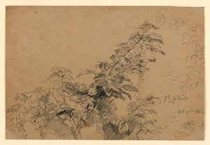 Studie von Laub von William Trost Richards