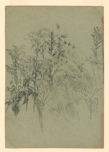 Studie von Laub von William Trost Richards