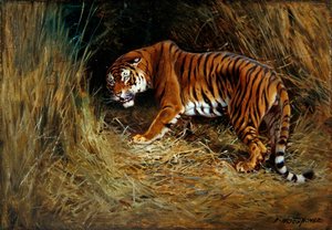 Ein schleichender Tiger von William Woodhouse