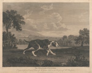 [Schießen] Der spanische Zeiger von William Woollett