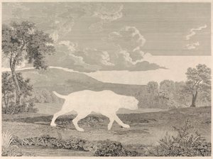 [Schießen] Der spanische Zeiger von William Woollett