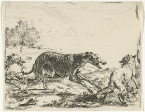 Fuchs und drei Hunde