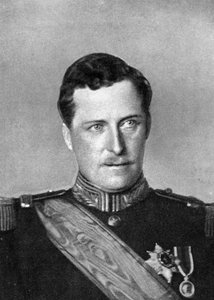 Albert, König von Belgien, Erster Weltkrieg, 1914