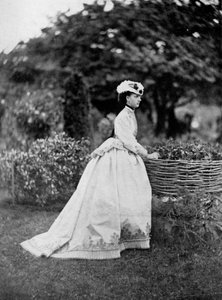 Die Prinzessin von Wales von William and Daniel Downey