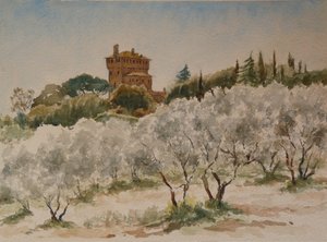 883 Pal Massaini, bei Pienza von Wilson Clive