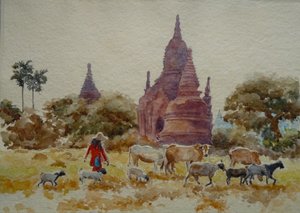 901 Bagan, Herden zwischen den Tempeln von Wilson Clive