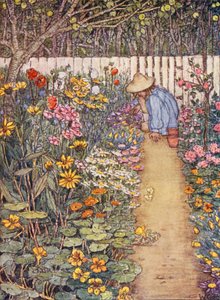 Kinderbuch der Gartenarbeit: Eine Staudenrabatte