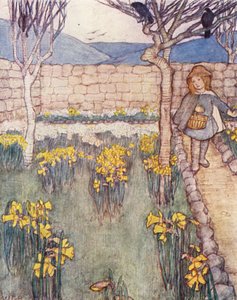 Kinderbuch der Gartenarbeit: Narzissen