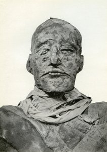 Kopf der Mumie von Ramses III., altägyptischer Pharao der 20. Dynastie, ca. 1156 v. Chr. 1926 von Winifred Mabel Brunton