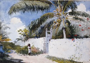 Ein Garten in Nassau, 1885