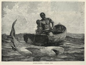 Ein Händler, Ein Nassau-Tor, Haifischfang--Nassau-Bar, aus The Century Magazine, Februar 1887 von Winslow Homer