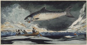 Ein guter Pool, Saguenay River von Winslow Homer