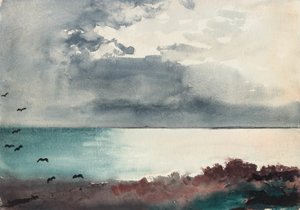 Sturm bricht los, Küste von Maine