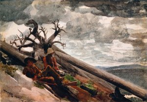 Verbrannter Berg von Winslow Homer