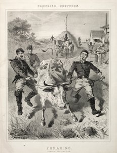 Kampagnenskizzen: Plündern