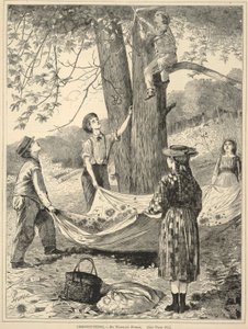 Kastaniensammeln, aus Every Saturday: Ein Illustriertes Journal der Wahllektüre, 29. Oktober 1870