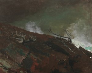 Küste von Maine, 1893 von Winslow Homer