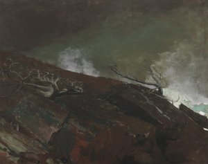 Küste von Maine, 1893 von Winslow Homer