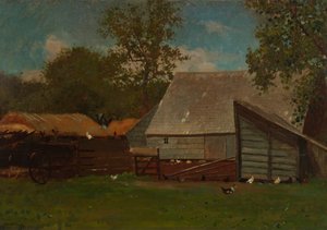 Bauernhof mit Enten und Hühnern
