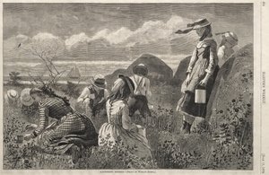 Beeren sammeln von Winslow Homer